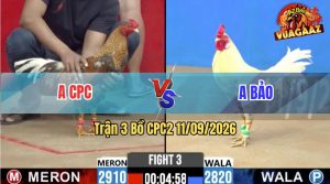 Trận 3 CPC2 11/09/2026 – Anh Bảo Gặp Phải Đối Thủ Cứng Cựa