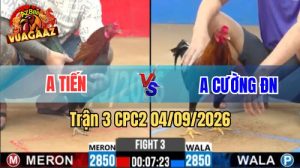 Trận 3 CPC2 Ngày 4/9/2026