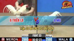 Trận 33 CPC2 12/09/2026 – Gà Anh Mo Gồng Gánh Tới Phút Cuối