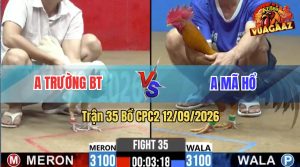 Trận 35 CPC2 12/09/2026 – Anh Trường Làm Thịt Anh Mã Hổ Nhanh Gọn