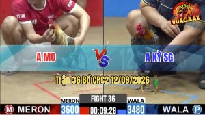 Trận 36 CPC2 12/09/2026 – Anh Mo Lụm Anh Kỳ Vì Tội Chấp Ngông