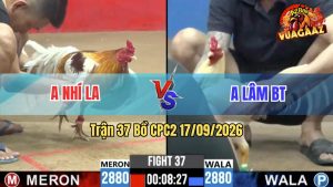 Trận 37 CPC2 17/09/2026 – Anh Lâm Tung Hàng Hiệu Vào Lụm Camelo