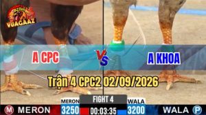 Trận 4 CPC2 Ngày 2/9/2026