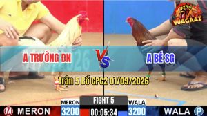 Trận 5 CPC2 01/09/2026 – Anh Bé SG Không Cho Anh Trường Cơ Hội Nào