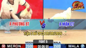 Trận 5 CPC2 09/09/2026 – Anh Phương BT Đụng Độ Với Anh Mận CT