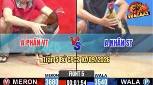 Trận 5 CPC2 10/09/2026 – Anh Nhân Hạ Anh Phán Trong 1 Tay Nước