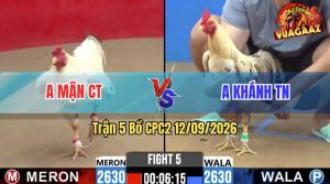 Trận 5 CPC2 12/09/2026 – Anh Khánh TN Đánh Bại Anh Mận CT