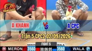 Trận 5 CPC2 Ngày 2/9/2026