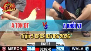 Trận 5 CPC2 Ngày 3/9/2026