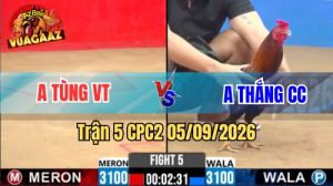 Trận 5 CPC2 Ngày 5/9/2026