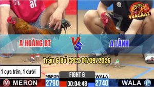 Trận 6 CPC2 01/09/2026 – Anh Hoàng BT Có Pha Lội Ngược Dòng