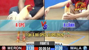 Trận 6 CPC2 11/09/2026 – Anh Lành Đụng Phải Hàng Hiệu Hết Đường Ra