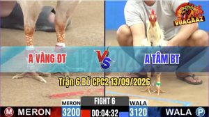 Trận 6 CPC2 13/09/2026 – Anh Tâm Hạ Anh Vàng Trong 3 Nốt Nhạc