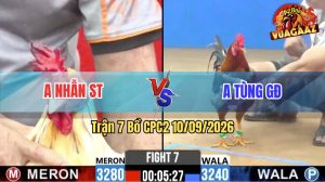 Trận 7 CPC2 10/09/2026 – Gà Điều Anh Tùng Hạ Anh Nhẫn Nhanh Gọn