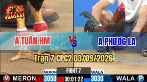 Trận 7 CPC2 Ngày 3/9/2026