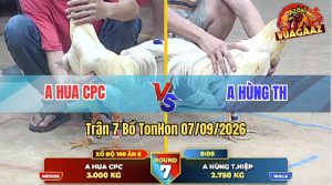 Trận 7 Tonhon 07/09/2026 – Anh Hùng Có Pha Lật Kèo Thắng Ngược Phút 90