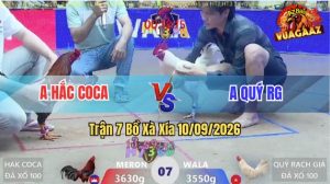 Trận 7 Xà Xía 10/09/2026 – Anh Hắc Coca Thất Bại Trước Anh Quý RG