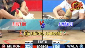 Trận 8 CPC2 01/09/2026 – Anh Mận Chưa Thả Gà Đã Bị Dí Bạc Ăn 6