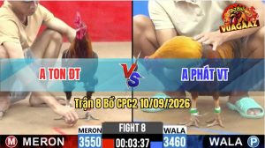 Trận 8 CPC2 10/09/2026 – Gà Xanh Thấm Tang Phút Cuối Quay Đầu Chạy