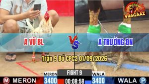 Trận 9 CPC2 01/09/2026 – Anh Trường Canh Chặn Làm Thịt Anh Vũ BL
