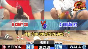 Trận 9 CPC2 07/09/2026 – Anh Thuần Khiến Đối Thủ Hoảng Sợ Bỏ Chạy