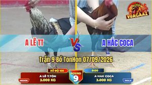 Trận 9 Tonhon 07/09/2026 – Gà Điều Anh Hắc Coca Lùa Đúng 1 Tay Nước