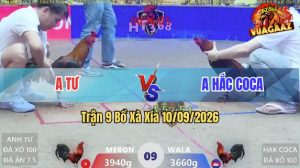Trận 9 Xà Xía 10/09/2026 – Anh Tư Bất Ngờ Lụm Ngược Anh Hắc Coca